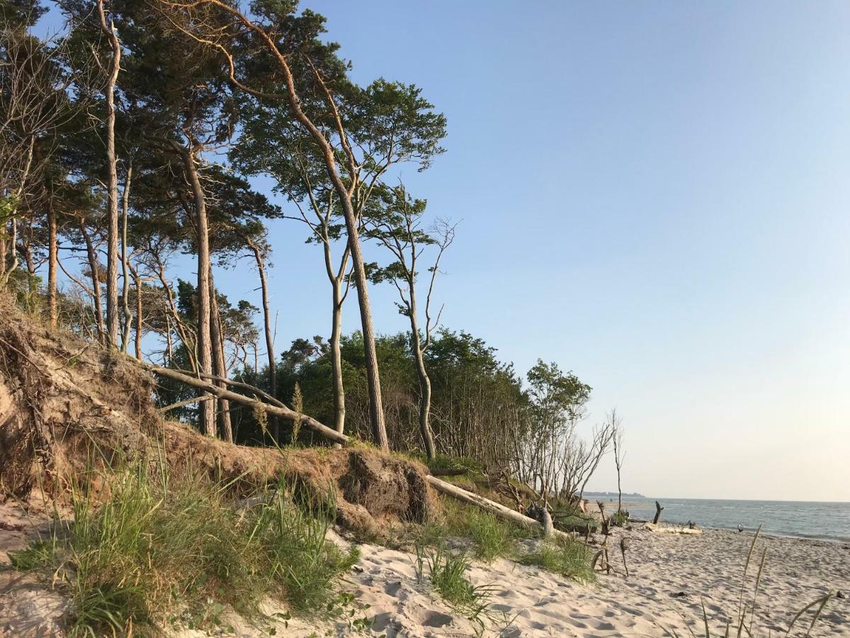 "Leuchtturmhaus" By Ferienhaus Strandgut Born Extérieur photo